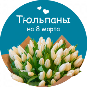 Купить тюльпаны в Шахтинске